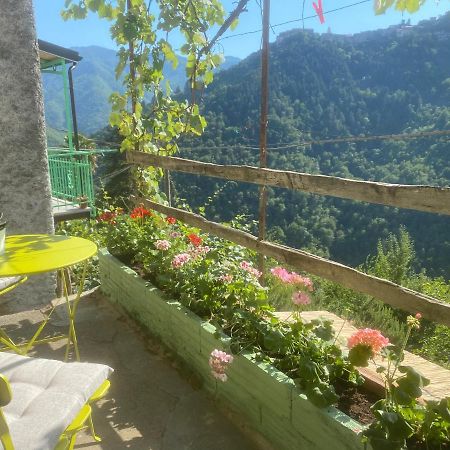 A Ca' Da Zia Villa Corte  Buitenkant foto